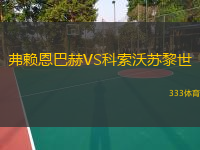 弗赖恩巴赫VS科索沃苏黎世