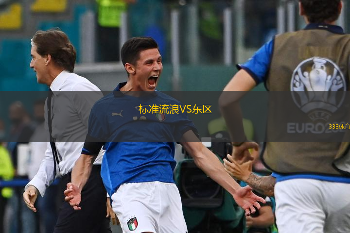 标准流浪VS东区