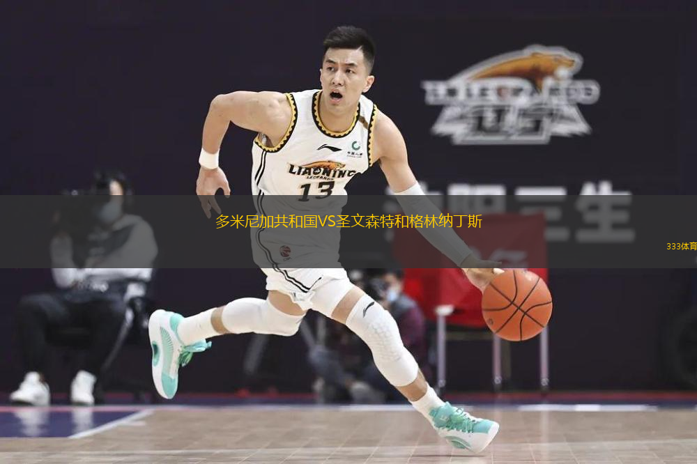 多米尼加共和国VS圣文森特和格林纳丁斯