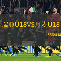 瑞典U18VS丹麦U18